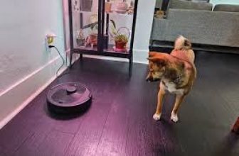 Expert Picks: The Best Robot Vacuums for Pet Owners (2025 Guide)