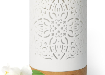 61TTiyDlOxL. AC SL1500  350x250 - Thoughtful &amp; Unique Mother’s Day 2025 Gift Ideas That She’ll Actually Love