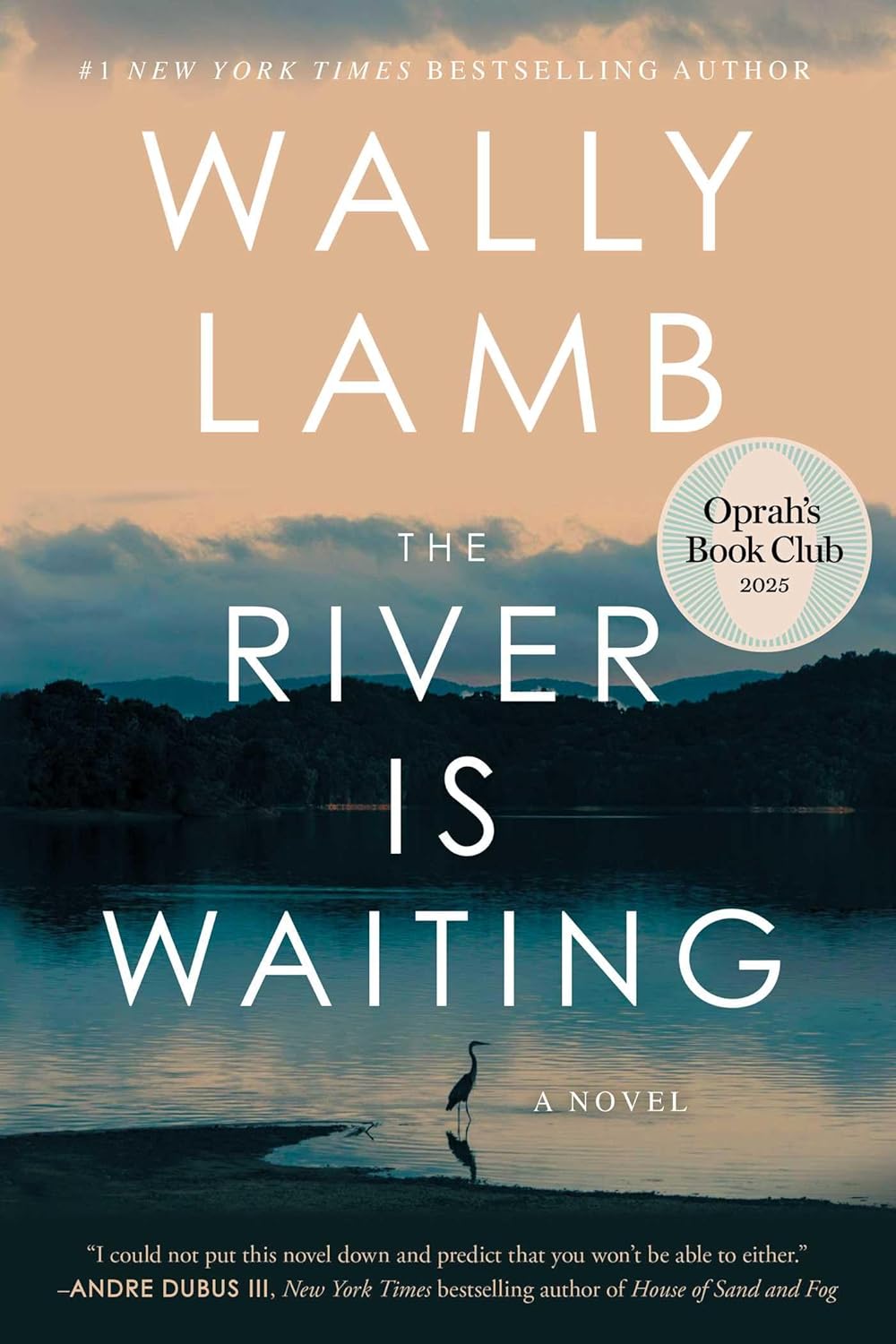 The River Is Waiting (Oprah's Book Club): A Captivating Tale of Adventure and Discovery 1 the river is waiting (oprah's book club): a captivating tale of adventure and discovery